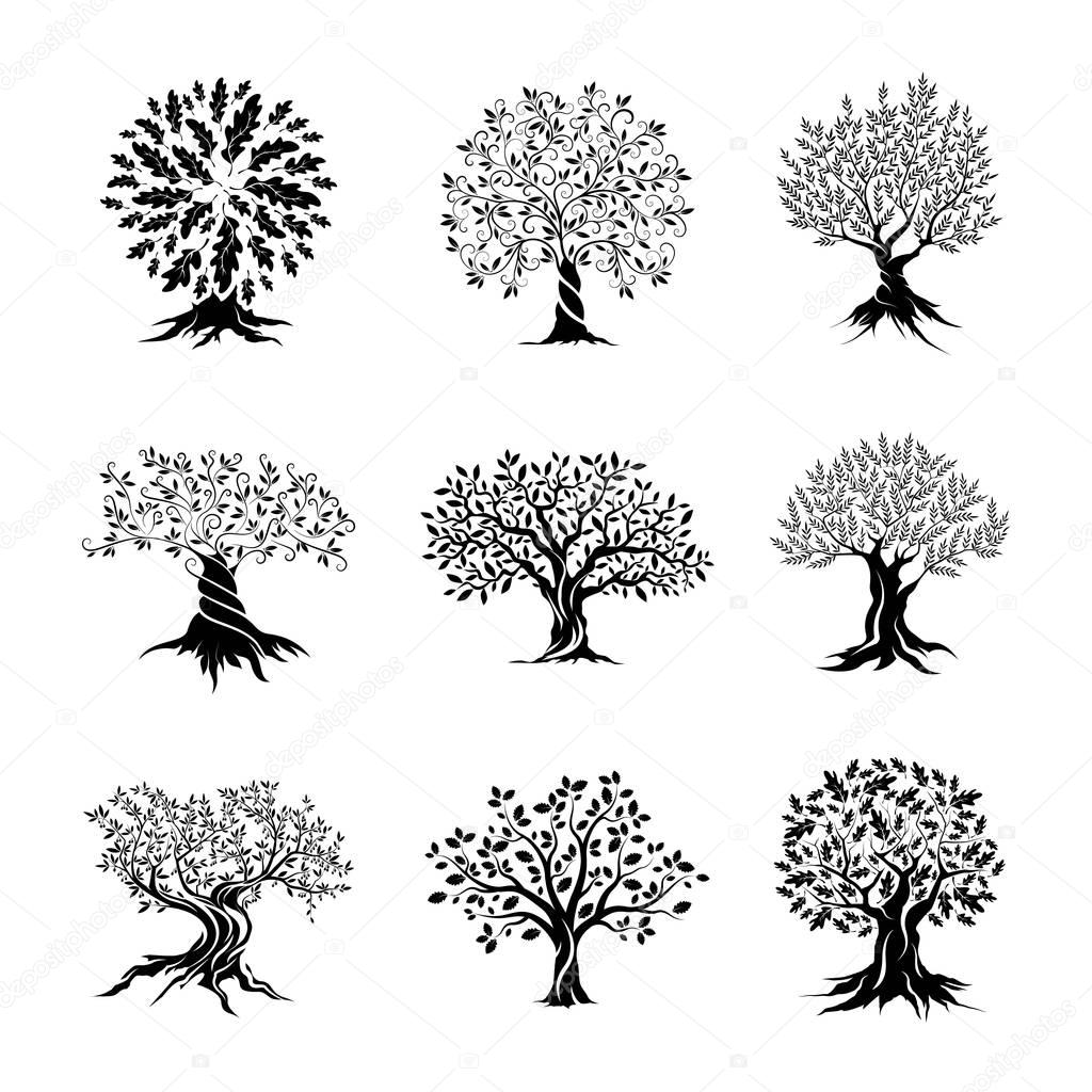Beautiful oak trees silhouette set isolated on dark white. Web infographic modern vector sign. Premium quality illustration logo design concept.