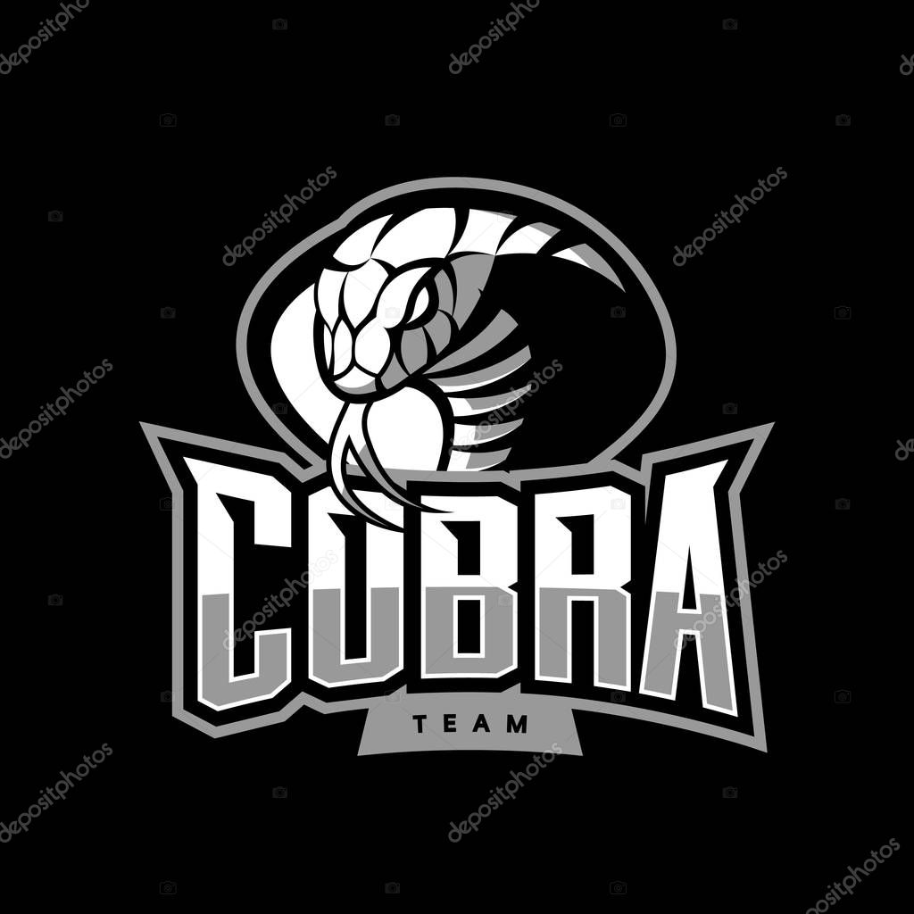 Furious cobra sport vector logo concept isolated on dark background. Web infographic military professional team pictogram.Premium quality wild snake t-shirt tee print illustration.