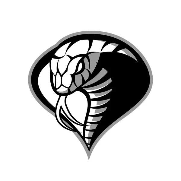 Furieux cobra sport vecteur logo concept isolé sur fond blanc — Image vectorielle