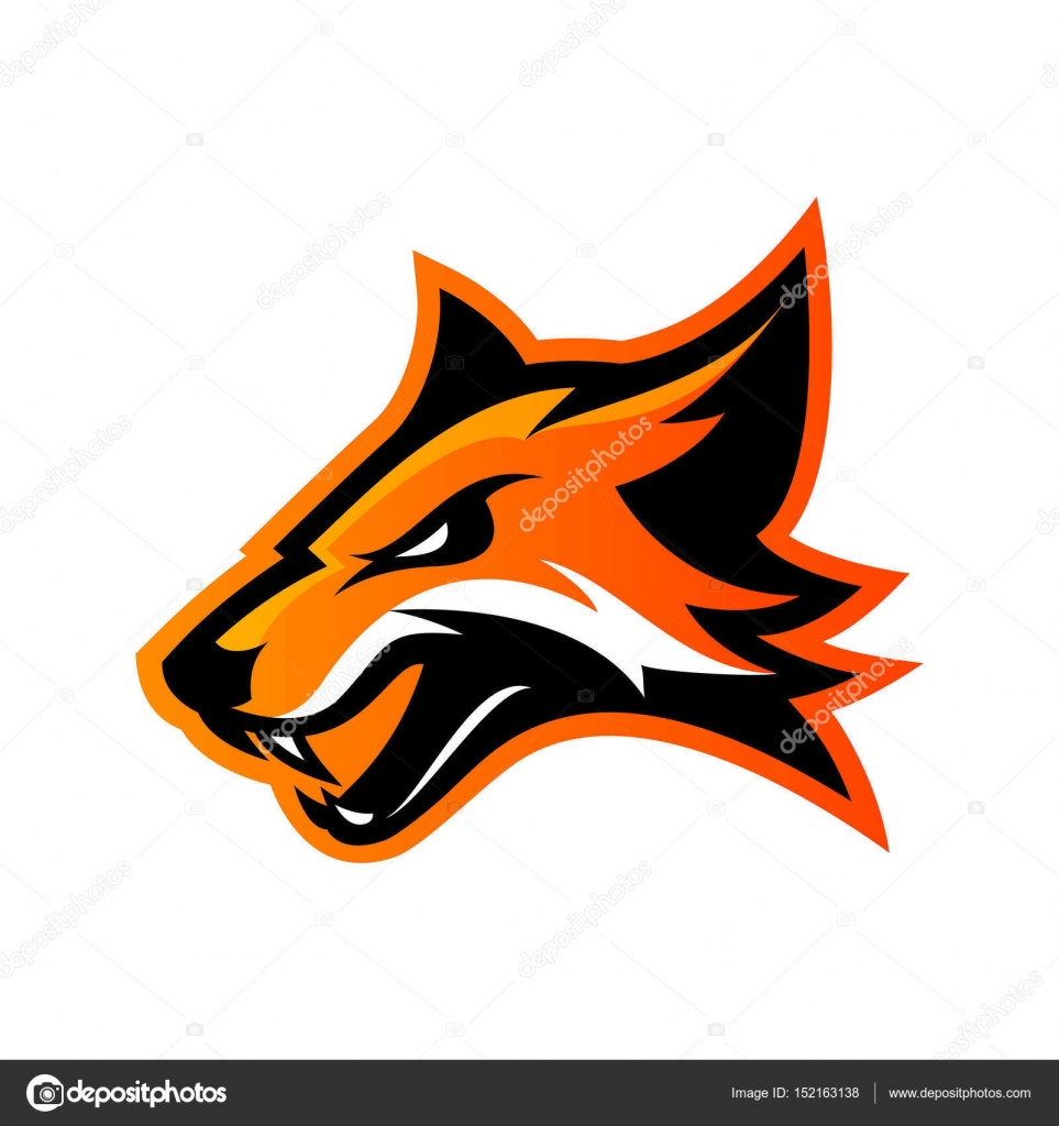 Vector: logo fox en | Concepto zorro furioso deporte club vector