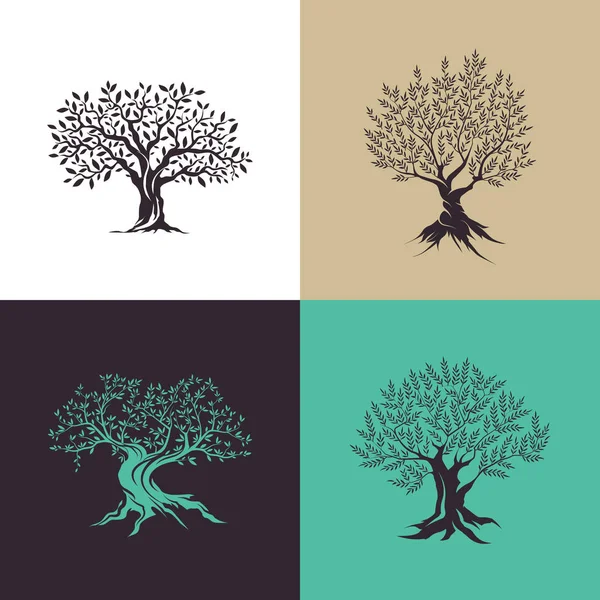 Beautiful magnificent olive tree silhouette isolated on color background. — Stock Vector