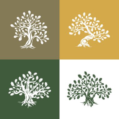 Arka plan üzerinde izole büyük ve kutsal meşe ağacı siluet logosunu görmeniz gerekir. Modern vektör Ulusal gelenek yeşil bitki simgesini işaret tasarım ayarlayın. Premium Kalite organik logo düz amblemi illüstrasyon.