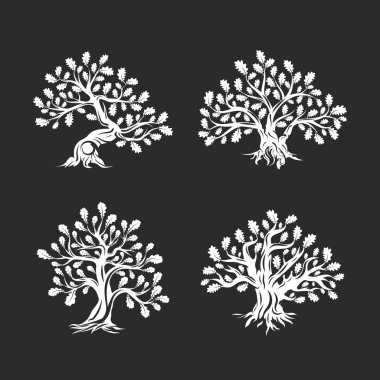 Arka plan üzerinde izole büyük ve kutsal meşe ağacı siluet logosunu görmeniz gerekir. Modern vektör Ulusal gelenek yeşil bitki simgesini işaret tasarım ayarlayın. Premium Kalite organik logo düz amblemi illüstrasyon.