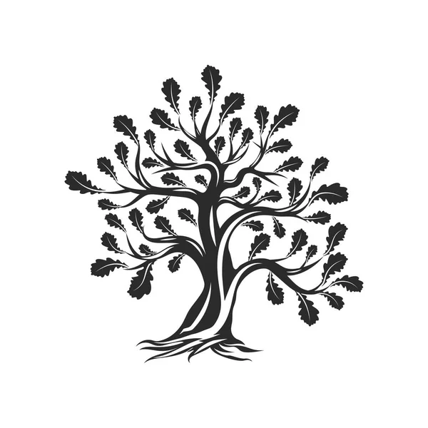 巨大な神聖な樫の木シルエットのロゴは白い背景に分離します 現代ベクトル国民の伝統植物アイコン サイン計画 プレミアム品質有機ロゴタイプ フラット エンブレム イラスト — ストックベクタ