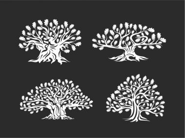 Arka plan üzerinde izole büyük ve kutsal meşe ağacı siluet logosunu görmeniz gerekir. Modern vektör Ulusal gelenek yeşil bitki simgesini işaret tasarım ayarlayın. Premium Kalite organik logo düz amblemi illüstrasyon.