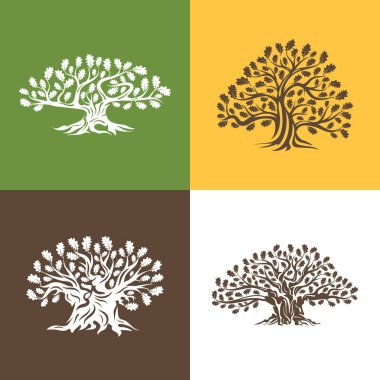 Arka plan üzerinde izole büyük ve kutsal meşe ağacı siluet logosunu görmeniz gerekir. Modern vektör Ulusal gelenek yeşil bitki simgesini işaret tasarım ayarlayın. Premium Kalite organik logo düz amblemi illüstrasyon.
