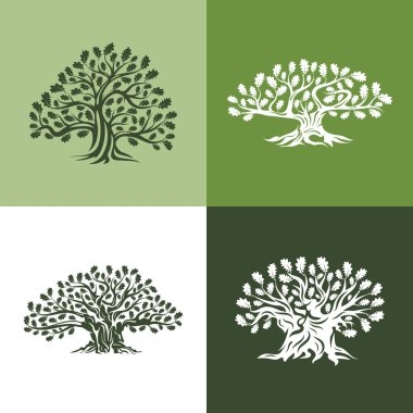 Arka plan üzerinde izole büyük ve kutsal meşe ağacı siluet logosunu görmeniz gerekir. Modern vektör Ulusal gelenek yeşil bitki simgesini işaret tasarım ayarlayın. Premium Kalite organik logo düz amblemi illüstrasyon.