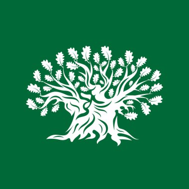 Büyük ve kutsal meşe ağacı siluet logo rozet üzerinde yeşil arka plan izole. Modern vektör Ulusal gelenek yeşil bitki simgesini işaret tasarımı. Premium Kalite organik logo düz amblemi illüstrasyon.