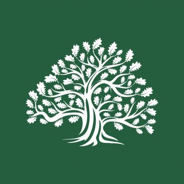 Büyük ve kutsal meşe ağacı siluet logo rozet izole kahverengi zemin üzerinde. Modern vektör Ulusal gelenek yeşil bitki simgesini işaret tasarımı. Premium Kalite organik logo düz amblemi illüstrasyon.