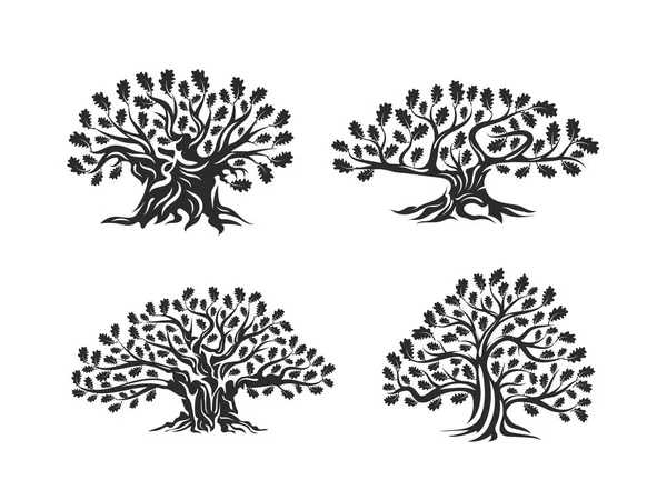 Wielkie Święte Drzewo Dąb Sylwetka Logo Białym Tle Nowoczesne Wektor — Wektor stockowy