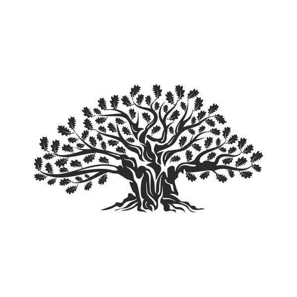 Huge Sacred Oak Tree Silhouette Logo Badge Isolated White Background — Stock Vector