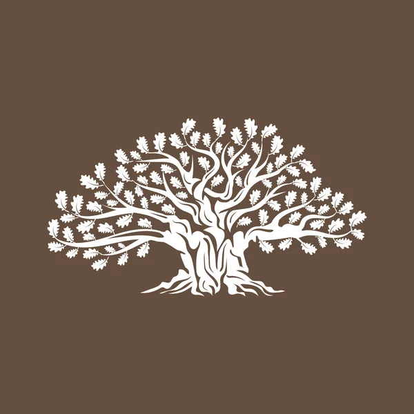 Wielkie Święte Drzewo Dąb Sylwetka Naszywka Logo Białym Tle Brązowym — Wektor stockowy