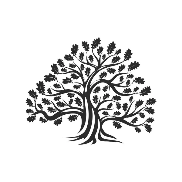 Wielkie Święte Drzewo Dąb Sylwetka Naszywka Logo Białym Tle Nowoczesne — Wektor stockowy