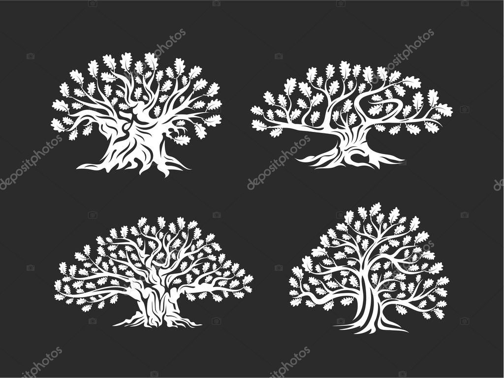 Huge and sacred oak tree silhouette logo isolated on background. Modern vector national tradition green plant icon sign design set.Premium quality organic logotype flat emblem illustration.