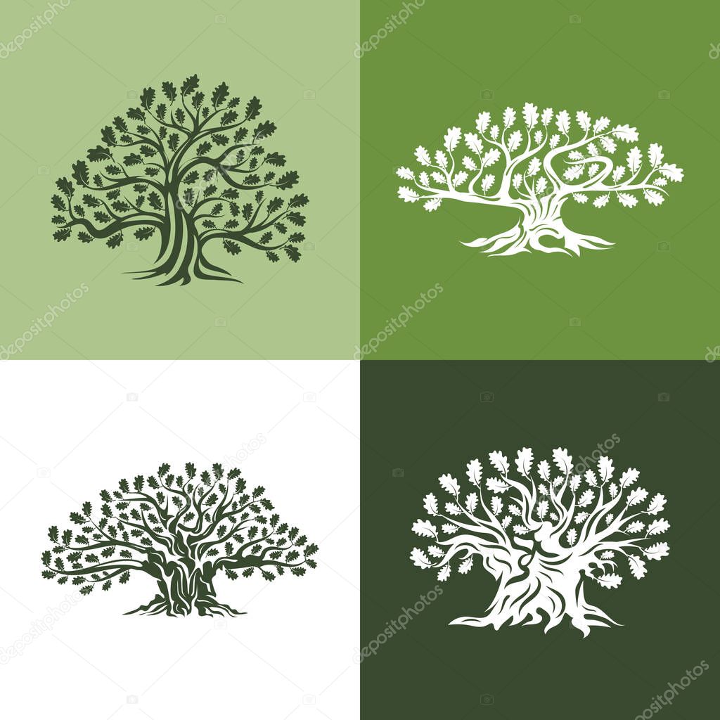 Huge and sacred oak tree silhouette logo isolated on background. Modern vector national tradition green plant icon sign design set.Premium quality organic logotype flat emblem illustration.