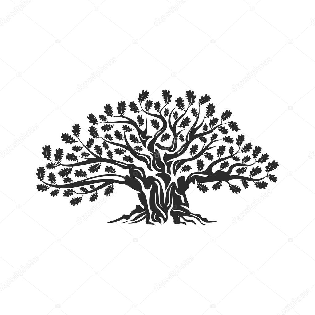 Huge and sacred oak tree silhouette logo badge isolated on white background. Modern vector national tradition green plant icon sign design. Premium quality organic logotype flat emblem illustration.