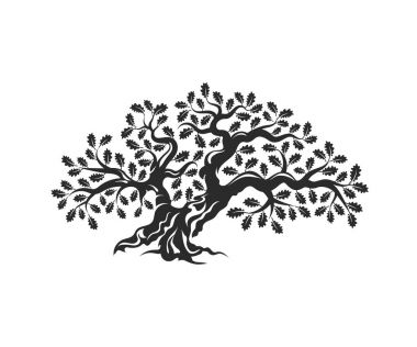 Beyaz arka plan üzerinde izole büyük ve kutsal meşe ağacı siluet logo rozet.