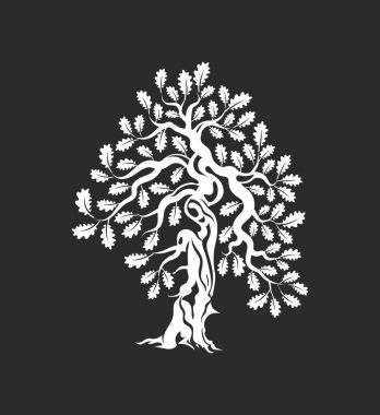 Koyu arka plan üzerinde izole büyük ve kutsal meşe ağacı siluet logo rozet.