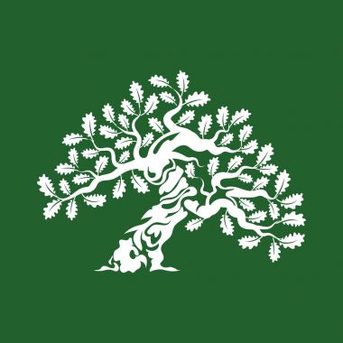 Yeşil arka plan üzerinde izole büyük ve kutsal meşe ağacı siluet logo rozet