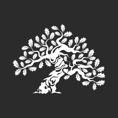 Koyu arka plan üzerinde izole büyük ve kutsal meşe ağacı siluet logo rozet.