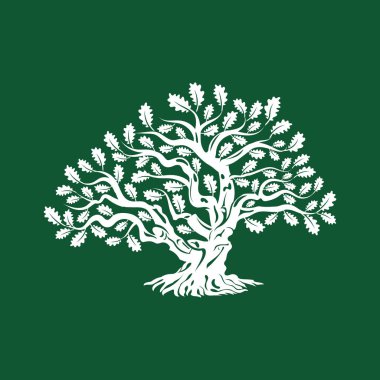 Yeşil arka plan üzerinde izole büyük ve kutsal meşe ağacı siluet logo rozet.