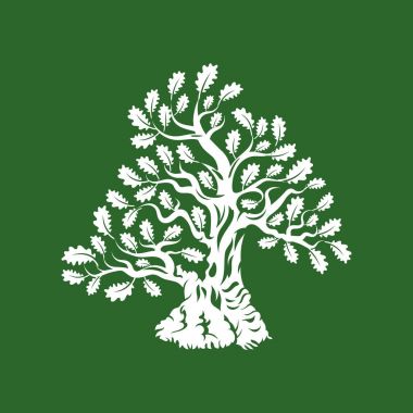 Yeşil arka plan üzerinde izole büyük ve kutsal meşe ağacı siluet logo rozet.