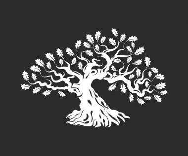 Koyu arka plan üzerinde izole büyük ve kutsal meşe ağacı siluet logo rozet.