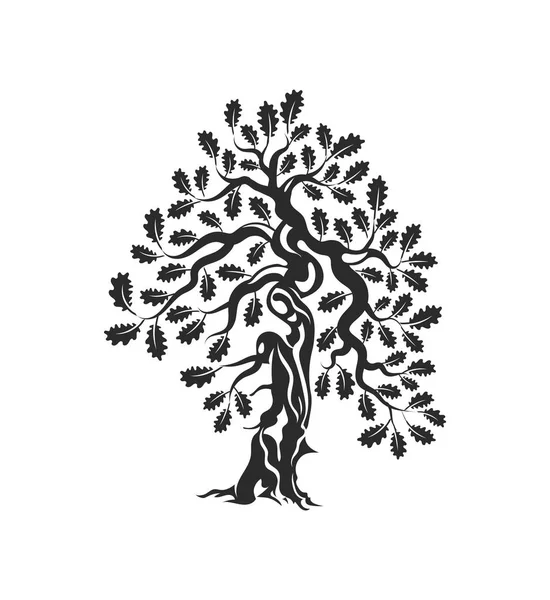 Wielkie i święte drzewo dąb sylwetka naszywka z logo na białym tle. — Wektor stockowy