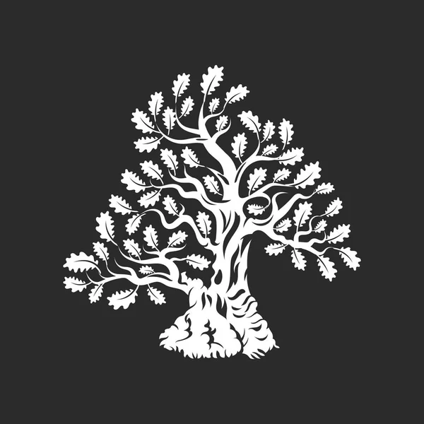 Wielkie i święte drzewo dąb sylwetka naszywka z logo na białym tle na ciemnym tle — Wektor stockowy