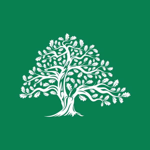 Wielkie i święte drzewo dąb sylwetka naszywka z logo na białym tle na zielonym tle. — Wektor stockowy