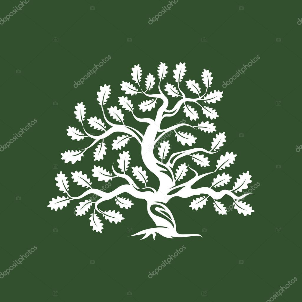 Huge and sacred oak tree silhouette logo badge isolated on green background. Modern vector national tradition green plant icon sign design. Premium quality organic bonsai logotype flat illustration.