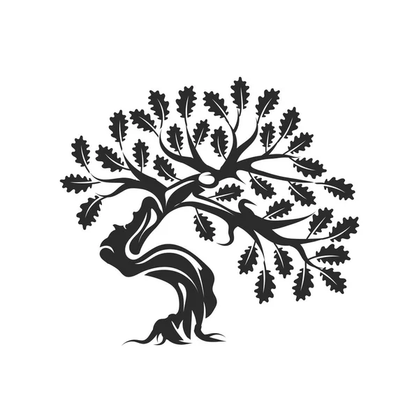 巨大な神聖な樫の木のシルエット ロゴバッジの白い背景に分離されました 現代ベクトル国民の伝統植物アイコン サイン計画 プレミアム品質有機盆栽ロゴタイプ フラット図 — ストックベクタ