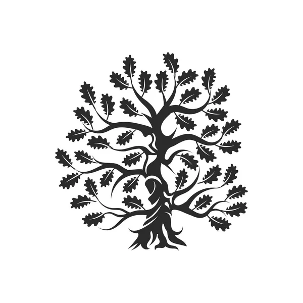 巨大な神聖な樫の木のシルエット ロゴバッジの白い背景に分離されました 現代ベクトル国民の伝統植物アイコン サイン計画 プレミアム品質有機盆栽ロゴタイプ フラット図 — ストックベクタ