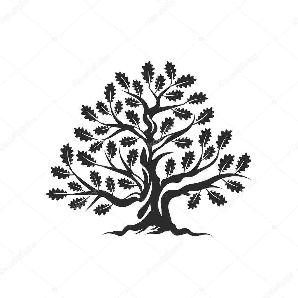 Huge and sacred oak tree silhouette logo badge isolated on white background. Modern vector national tradition green plant icon sign design. Premium quality organic bonsai logotype flat illustration.