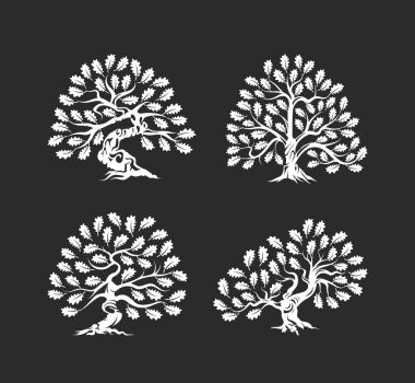 Koyu arka plan üzerinde izole büyük ve kutsal meşe ağacı siluet logosu.