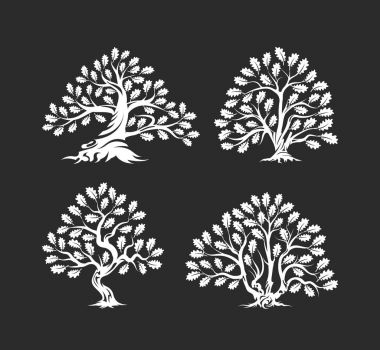 Koyu arka plan üzerinde izole büyük ve kutsal meşe ağacı siluet logosu.