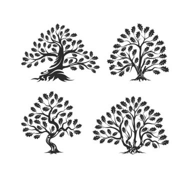 Büyük ve kutsal meşe ağacı siluet logosu beyaz arka plan üzerinde izole.