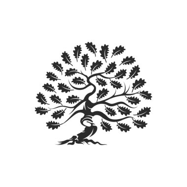 Beyaz arka plan üzerinde izole büyük ve kutsal meşe ağacı siluet logo rozet.