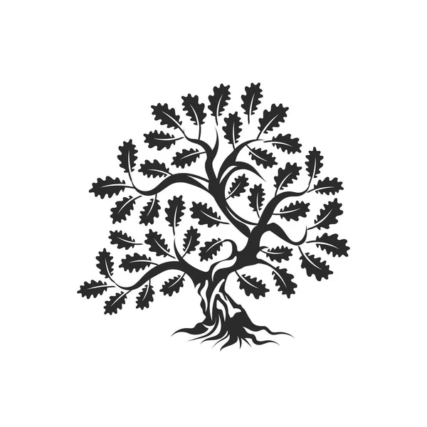Énorme et sacrée silhouette de chêne logo badge isolé sur fond blanc . — Image vectorielle