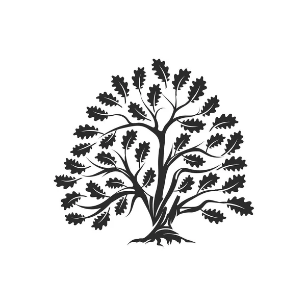 白い背景に分離された巨大な神聖な樫の木シルエット ロゴバッジ — ストックベクタ