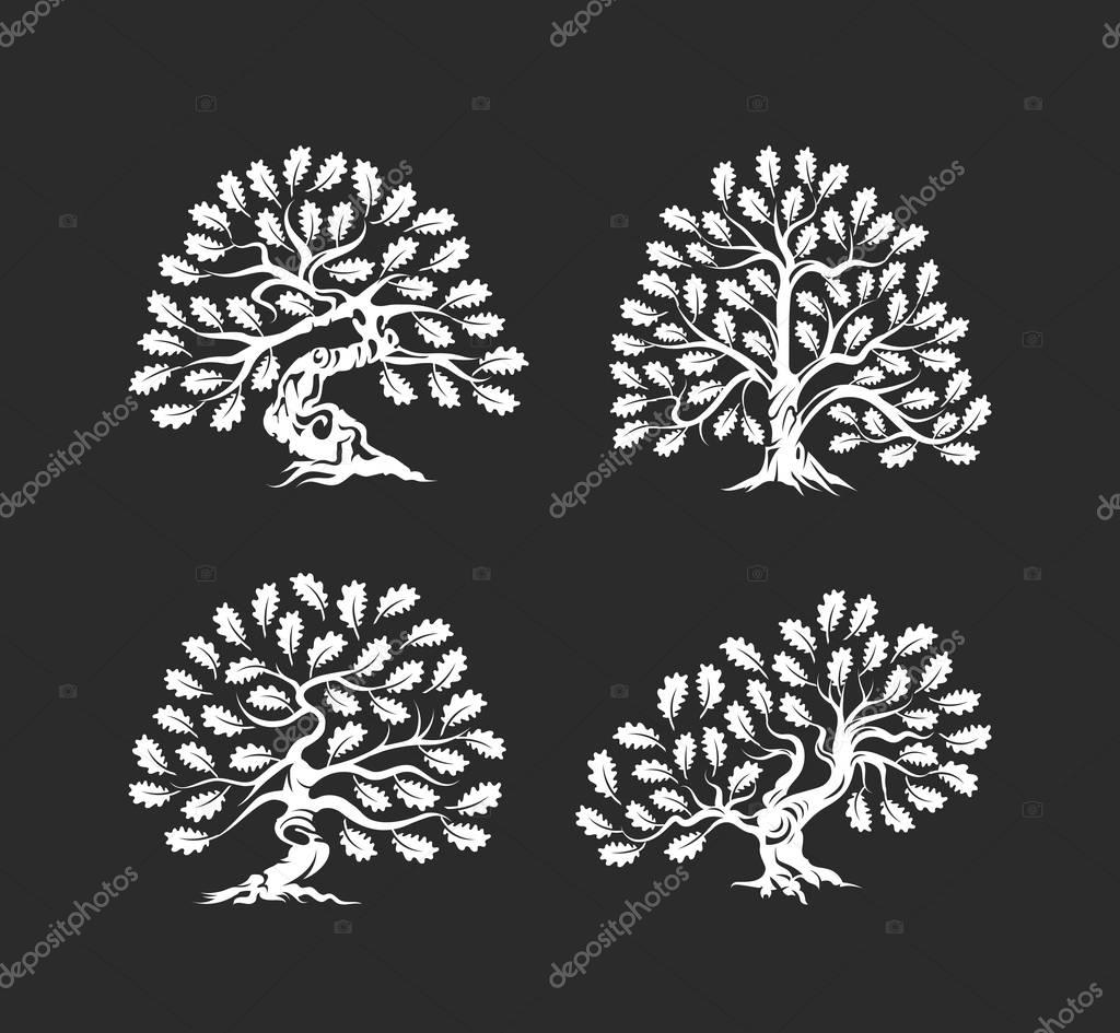 Huge and sacred oak tree silhouette logo isolated on dark background. Modern vector national tradition green plant icon sign design set.
