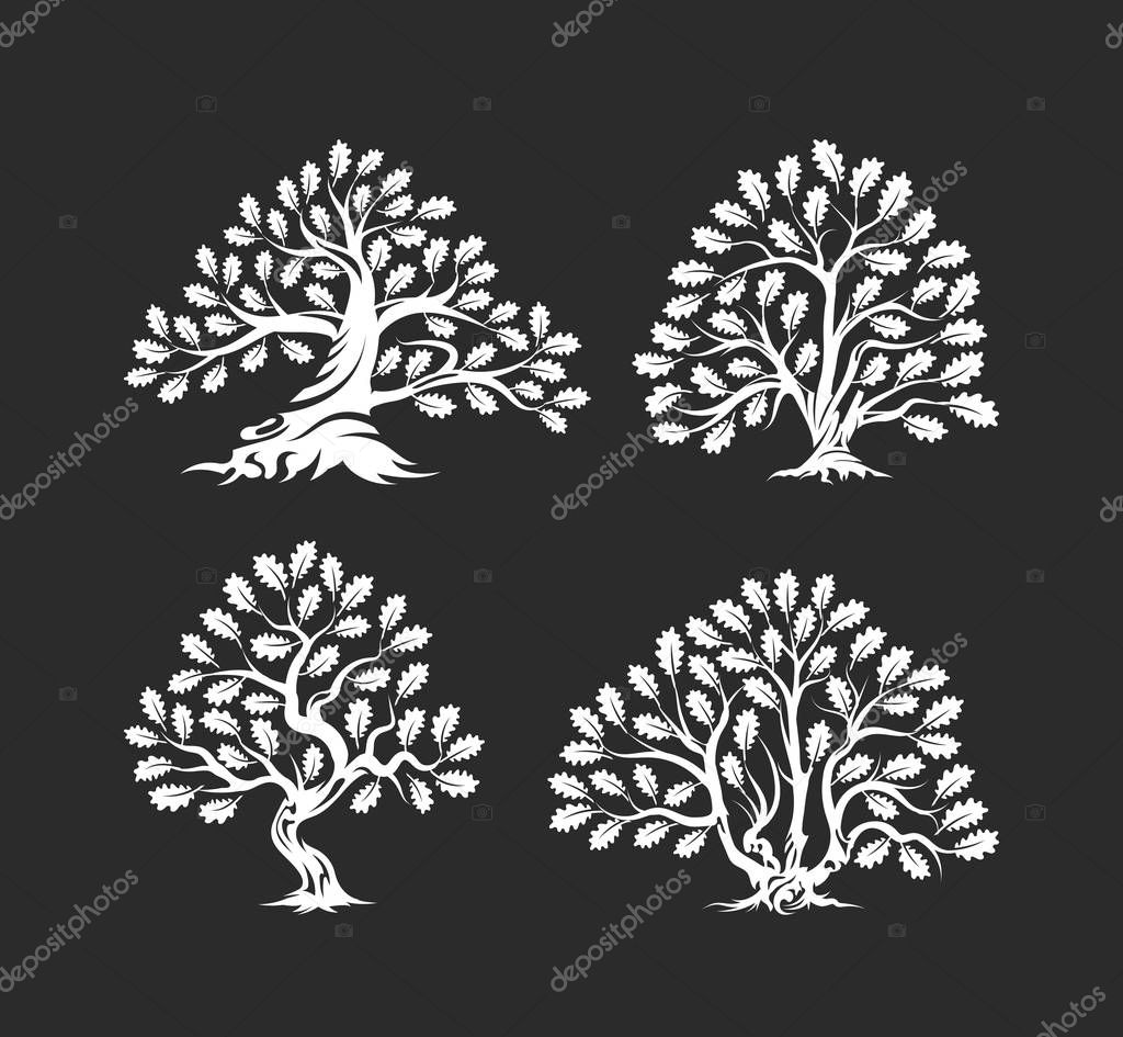 Huge and sacred oak tree silhouette logo isolated on dark background. Modern vector national tradition green plant icon sign design set.