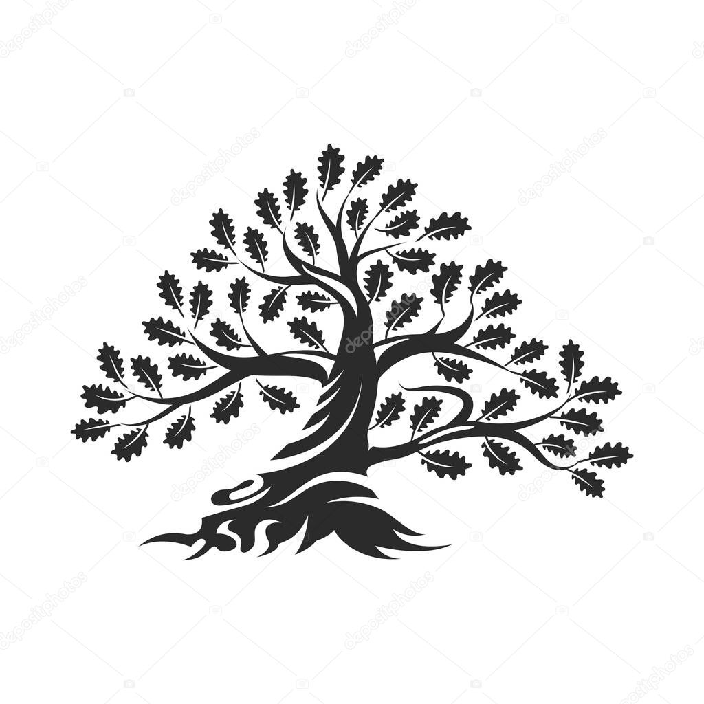 Huge and sacred oak tree silhouette logo badge isolated on white background. Modern vector national tradition green plant icon sign design.
