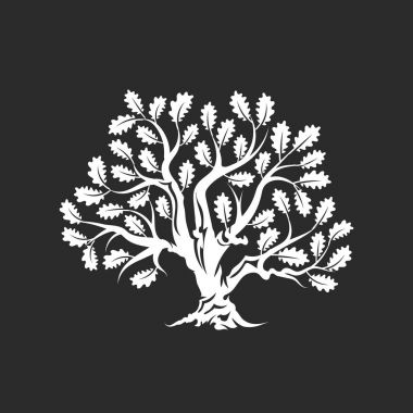 Büyük ve kutsal meşe ağacı siluet logo rozet koyu arka plan üzerinde izole. Modern vektör Ulusal gelenek yeşil bitki simgesini işaret tasarımı. Premium Kalite organik bonsai logo düz illüstrasyon.