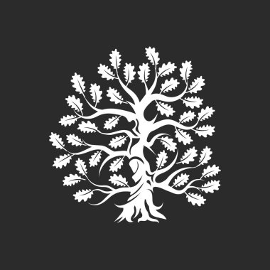 Büyük ve kutsal meşe ağacı siluet logo rozet koyu arka plan üzerinde izole. Modern vektör Ulusal gelenek yeşil bitki simgesini işaret tasarımı. Premium Kalite organik bonsai logo düz illüstrasyon.