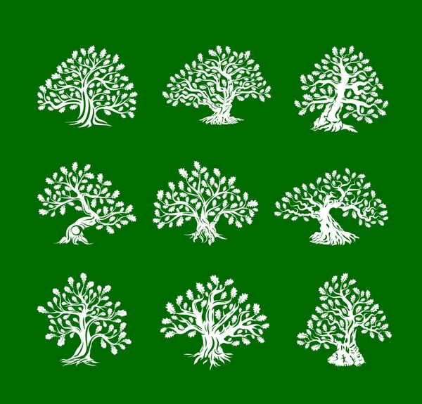 Stora och heliga oak tree siluett logotyp isolerad på grön bakgrund. — Stock vektor