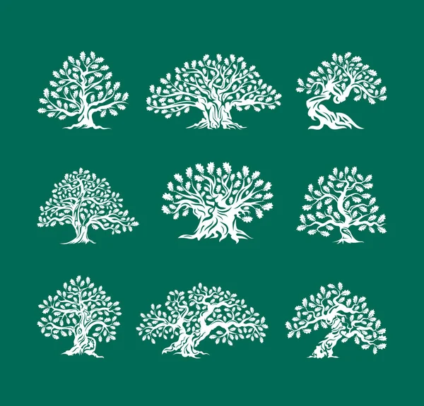 Logo énorme et sacré silhouette de chêne isolé sur fond vert . — Image vectorielle