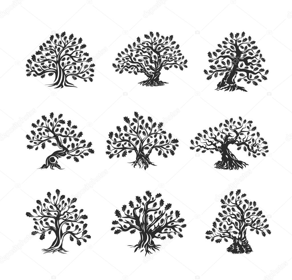 Huge and sacred oak tree silhouette logo isolated on white background. Modern vector national tradition green plant icon sign design set.