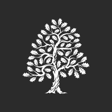 Büyük ve kutsal meşe ağacı siluet logo rozet koyu arka plan üzerinde izole. Modern vektör Ulusal gelenek yeşil bitki simgesini işaret tasarımı. Premium Kalite organik bonsai logo düz illüstrasyon.