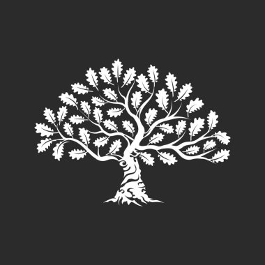 Büyük ve kutsal meşe ağacı siluet logo rozet koyu arka plan üzerinde izole. Modern vektör Ulusal gelenek yeşil bitki simgesini işaret tasarımı. Premium Kalite organik bonsai logo düz illüstrasyon.
